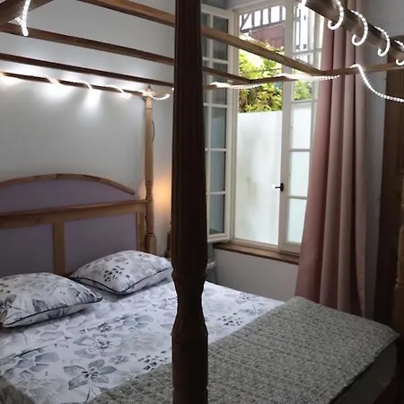 Apartment Atelier Des Glycines, Bouchon De Champagne, Sublime Site Patrimonial Troyes