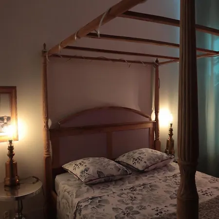 Atelier Des Glycines Centre Appartement Troyes